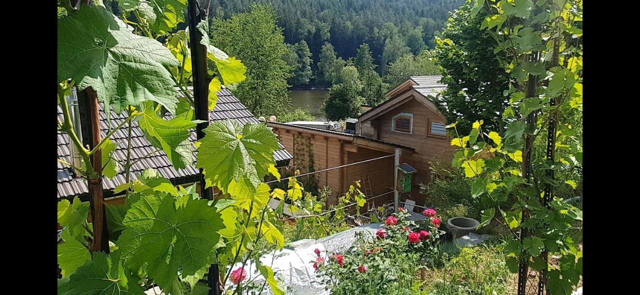 Holzhaus Am See Mit Panoramablick Trausnitz Ngoại thất bức ảnh
